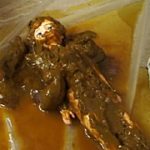 美少女排泄 塗糞人形2