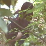 野糞 ギャルの野糞を徹底解剖4