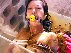 うんこ拷問奴隷1