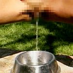 プレイメイト 放尿大全集