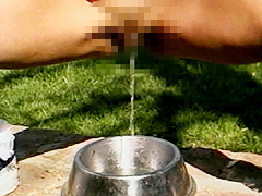 プレイメイト 放尿大全集